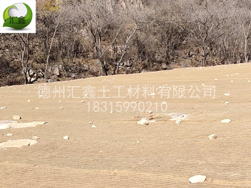 京臺高速公路邊坡防護